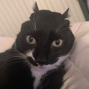 Meet your Posher, Camille